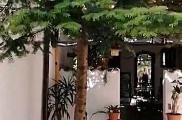 Vanzare casa renovata 2 camere curte proprie foisor Cotroceni anunturi imobiliare Bucuresti
