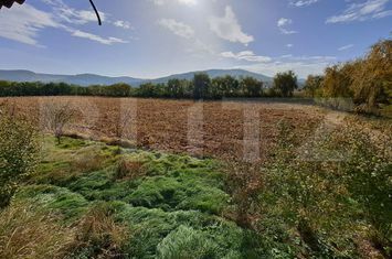 Teren de vanzare OCNA MURES - Alba anunturi imobiliare Alba