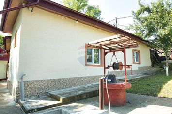 Casă cu teren de vanzare in Rugionasa iasi anunturi imobiliare Iasi