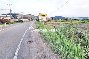 Teren 13.000 mp 25 euro mp.Ernei deschidere la drum Judetean anunturi imobiliare Mures
