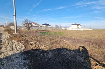 VANZARE TEREN INTRAVILAN 950 MP CERNICA-TANGANU anunturi imobiliare Bucuresti