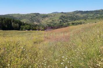 Teren intravilan de vanzare in Breaza (dezvoltare imobiliara) anunturi imobiliare Prahova