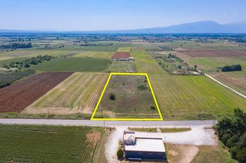Teren construibil 10.180 mp în Mikrochori, Drama anunturi imobiliare Grecia