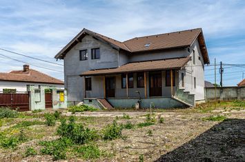 Imobil cu vizibilitate maximă și teren generos în Aradul NOU. anunturi imobiliare Arad
