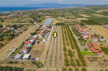 Teren 4972 mp, Paralia Orfaniou, 700 m de mare anunturi imobiliare Grecia