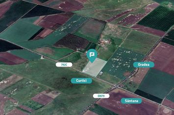 10.5HA, com.Simand Jud.Arad anunturi imobiliare Arad