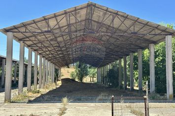 Ferma de vanzare  in Simeria anunturi imobiliare Hunedoara