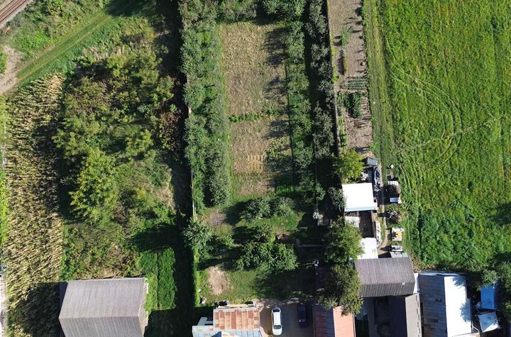 Teren Intravilan de vanzare SCHEIA - Suceava anunturi imobiliare Suceava