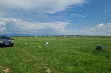 Teren de vanzare TARGU-JIU - Gorj anunturi imobiliare Gorj