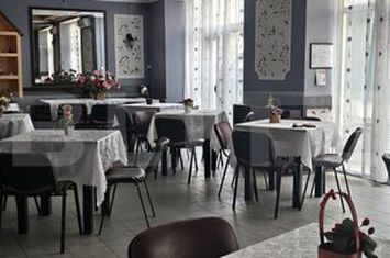 Spațiu comercial de inchiriat SATU MARE - Satu Mare anunturi imobiliare Satu Mare