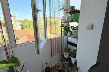 Apartament 2 camere de vanzare LIPOVEI - Timis anunturi imobiliare Timis
