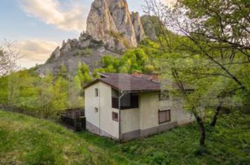 Vilă - 7 camere de vanzare RAMET - Alba anunturi imobiliare Alba