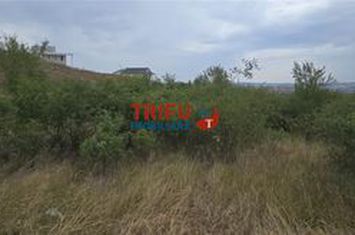 Teren Intravilan de vanzare CETATE - Alba anunturi imobiliare Alba