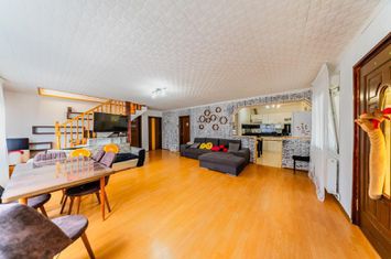 Casa individuala de vanzare in Iratosu 0% COMISION CUMPARATOR anunturi imobiliare Arad