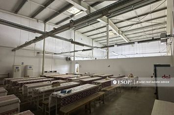Spațiu industrial de vanzare MAGURELE - Bucuresti anunturi imobiliare Bucuresti