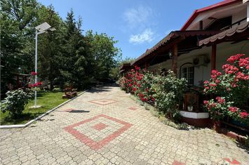 Casă - 5 camere de vanzare ODOBESTI - Vrancea anunturi imobiliare Vrancea