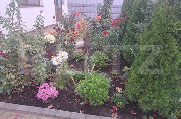 Vilă - 3 camere de vanzare SANPETRU - Brasov anunturi imobiliare Brasov