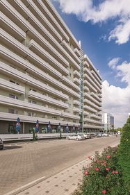 West Gate Studios participă la RIUF,  cel mai important târg internaţional de universităţi