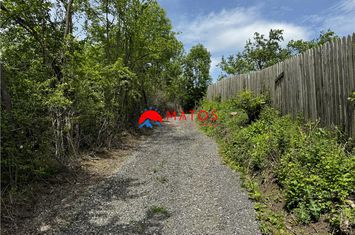 Teren Intravilan de vanzare CORNU - Prahova anunturi imobiliare Prahova