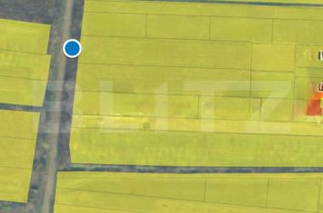 Teren de vanzare PAULESTI - Satu Mare anunturi imobiliare Satu Mare