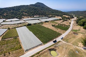 Teren construibil 8000 mp în Mirtofito anunturi imobiliare Grecia