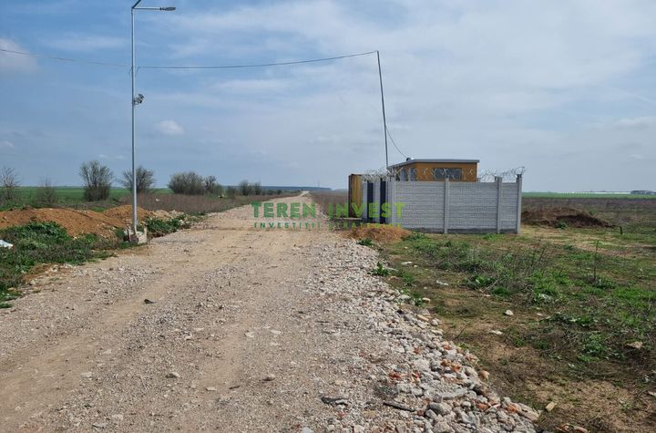 TÂNGANU / CERNICA  - TEREN INDUSTRIAL 5.000 MP anunturi imobiliare Bucuresti