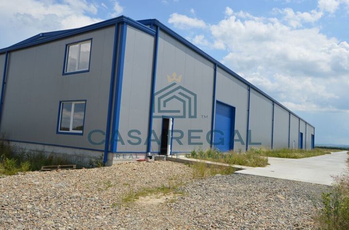 Spațiu industrial de inchiriat SACADAT - Bihor anunturi imobiliare Bihor