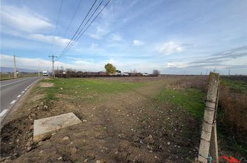 Teren Intravilan de vanzare EXTERIOR VEST - Vrancea anunturi imobiliare Vrancea