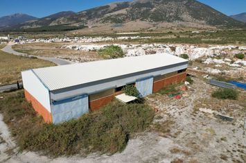 Hala industrială 611 mp în VI.PA. Prosotsanis anunturi imobiliare Grecia
