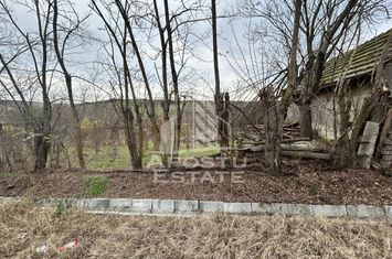 Teren 1942 mp, ideal casa de vacanta, alte activitati, Herneacova. anunturi imobiliare Timis