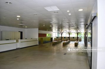 Birou de inchiriat BANEASA - Bucuresti anunturi imobiliare Bucuresti