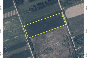 Teren agricol 14.718 mp în Chrisochori, Nestos anunturi imobiliare Grecia