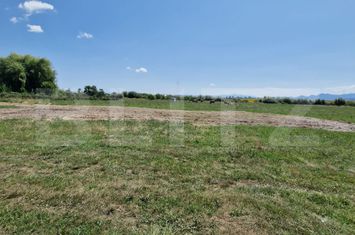 Teren de vanzare HALCHIU - Brasov anunturi imobiliare Brasov