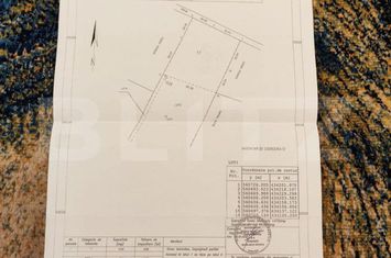 Teren de vanzare VALEA DOFTANEI - Prahova anunturi imobiliare Prahova