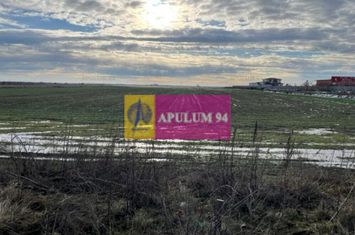 Teren Mihailesti- langa Dovinot. anunturi imobiliare Giurgiu