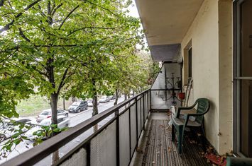 Rezervat 3 camere, etaj 1, vedere spre Mureș strada Praporgescu anunturi imobiliare Arad