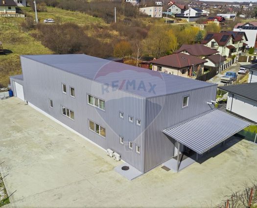 Spațiu industrial Visan, 600 mp