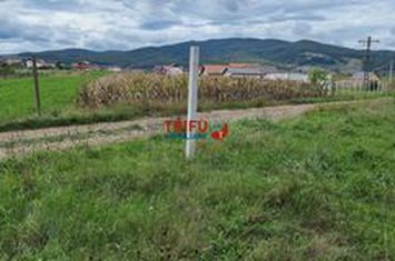 Teren Intravilan de vanzare BARABANT - Alba anunturi imobiliare Alba