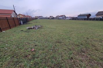 Teren 6.130 mp. deschidere la 2 drumuri 98 euro mp anunturi imobiliare Mures