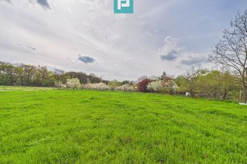 Teren intravilan, 820 mp, Pădure Giroc anunturi imobiliare Timis