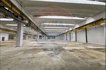 Hală producție/logistică cu poduri rulante-zona Avrig-Inchiriere anunturi imobiliare Sibiu