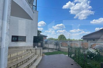Vilă - 5 camere de vanzare VISANI - Iasi anunturi imobiliare Iasi