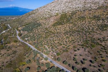 Teren construibil 9995,53 mp în Mikros Prinos anunturi imobiliare Grecia