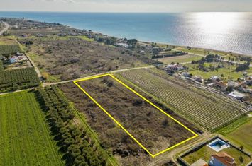 Teren 5.000 mp, Paralia Karianis, 300 m de mare anunturi imobiliare Grecia