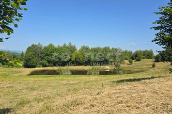 Teren de vanzare SALICEA - Cluj anunturi imobiliare Cluj