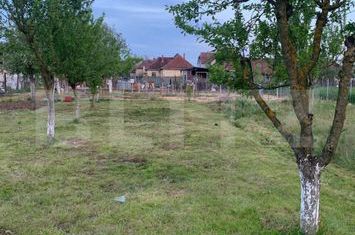 Teren de vanzare CIONCHESTI - Satu Mare anunturi imobiliare Satu Mare
