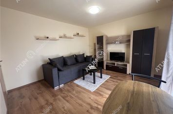 Garsonieră de inchiriat TURNISOR - Sibiu anunturi imobiliare Sibiu
