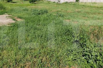 Teren de vanzare IASI - Iasi anunturi imobiliare Iasi