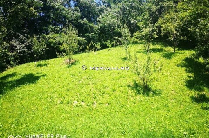 Teren de vânzare în Comarnic (zona Poiana) anunturi imobiliare Prahova