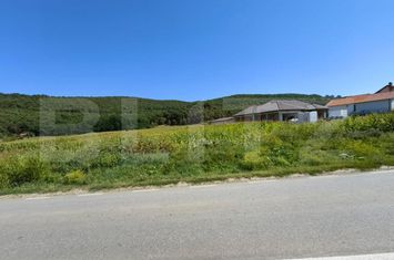 Teren de vanzare HAPRIA - Alba anunturi imobiliare Alba